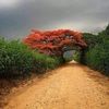 lamnguyen819